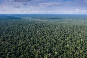 WCS Republic of Congo
