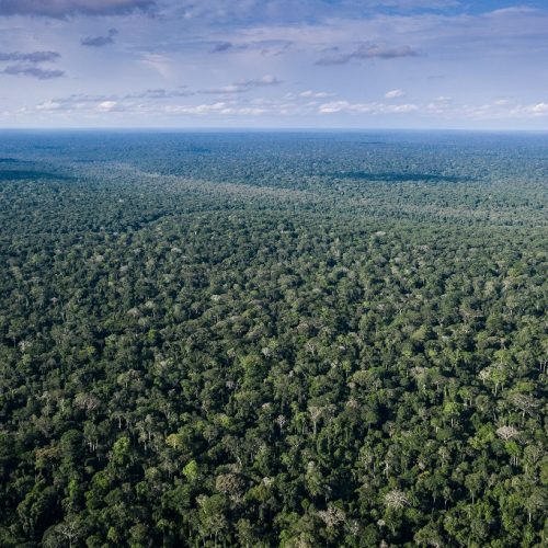 WCS Republic of Congo